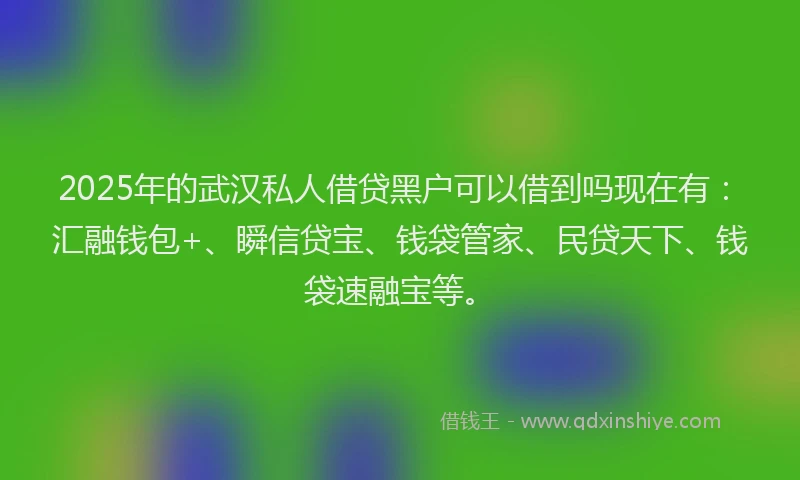 2025年的武汉私人借贷黑户可以借到吗现在有：汇融钱包+、瞬信贷宝、钱袋管家、民贷天下、钱袋速融宝等。