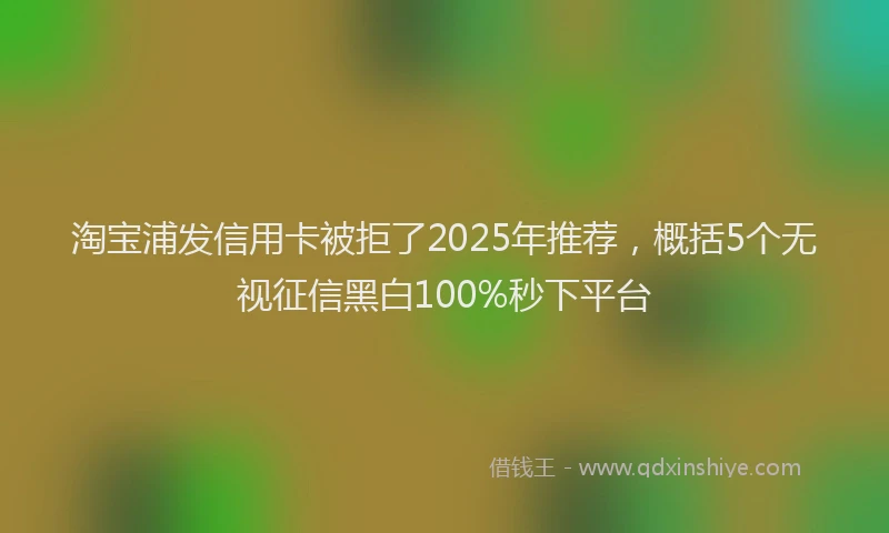淘宝浦发信用卡被拒了2025年推荐，概括5个无视征信黑白100%秒下平台