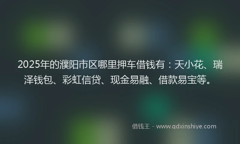 2025年的濮阳市区哪里押车借钱有：天小花、瑞泽钱包、彩虹信贷、现金易融、借款易宝等。