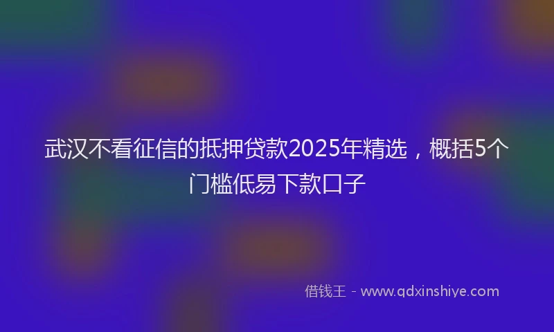 武汉不看征信的抵押贷款2025年精选，概括5个门槛低易下款口子
