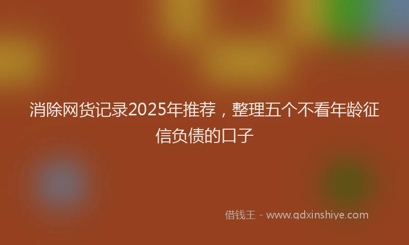 消除网货记录2025年推荐，整理五个不看年龄征信负债的口子