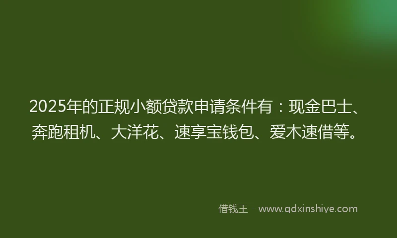 2025年的正规小额贷款申请条件有：现金巴士、奔跑租机、大洋花、速享宝钱包、爱木速借等。