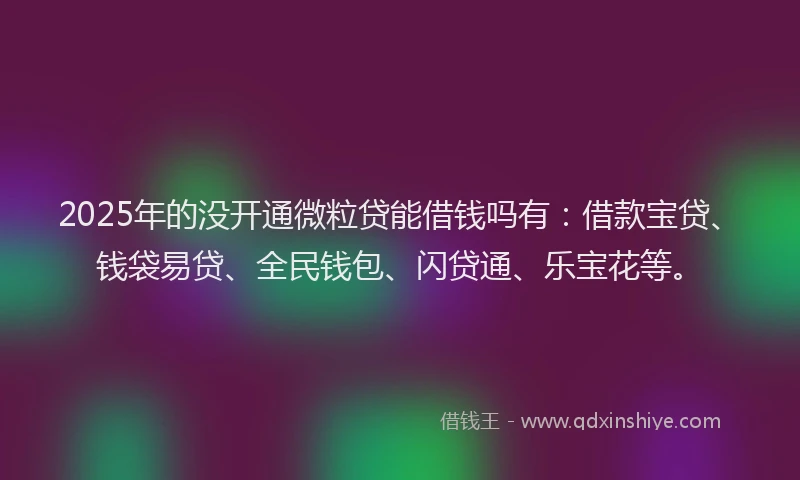 2025年的没开通微粒贷能借钱吗有：借款宝贷、钱袋易贷、全民钱包、闪贷通、乐宝花等。
