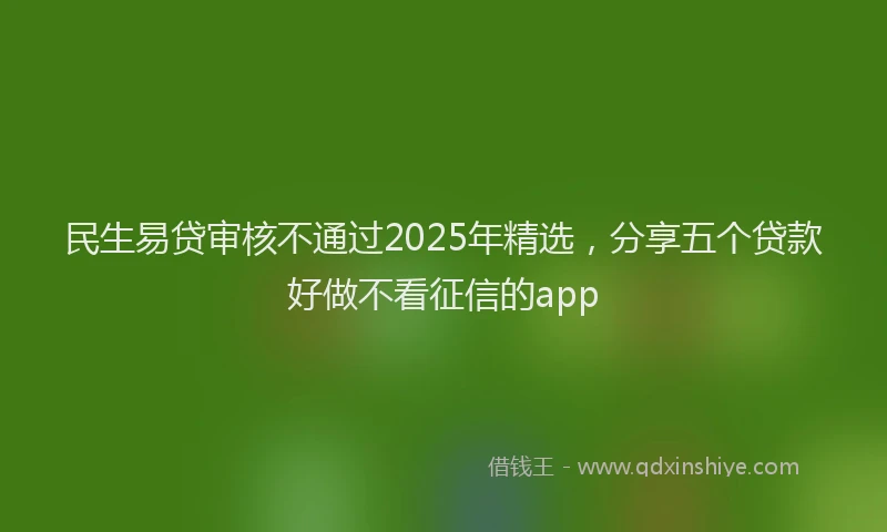 民生易贷审核不通过2025年精选，分享五个贷款好做不看征信的app