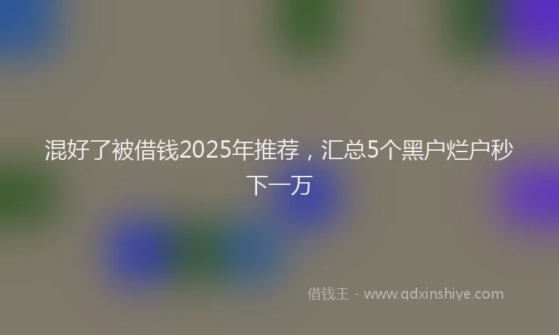 混好了被借钱2025年推荐，汇总5个黑户烂户秒下一万