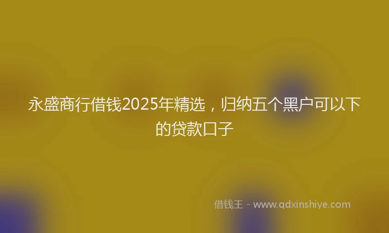 永盛商行借钱2025年精选，归纳五个黑户可以下的贷款口子