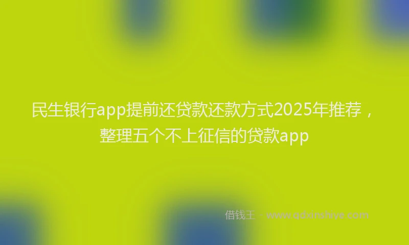 民生银行app提前还贷款还款方式2025年推荐，整理五个不上征信的贷款app
