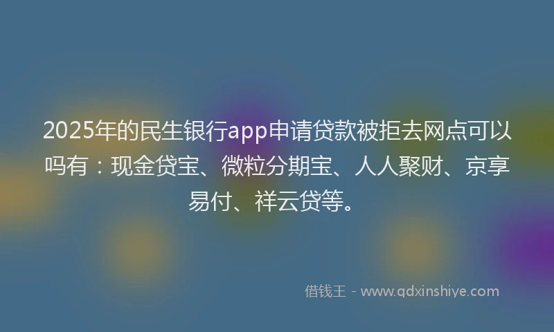 2025年的民生银行app申请贷款被拒去网点可以吗有：现金贷宝、微粒分期宝、人人聚财、京享易付、祥云贷等。
