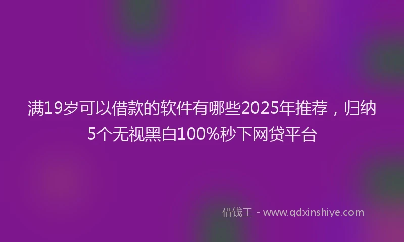 满19岁可以借款的软件有哪些2025年推荐，归纳5个无视黑白100%秒下网贷平台