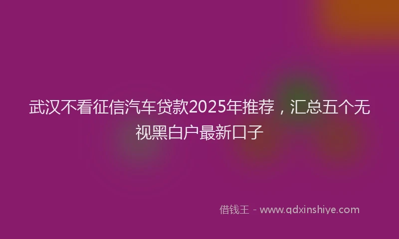 武汉不看征信汽车贷款2025年推荐，汇总五个无视黑白户最新口子