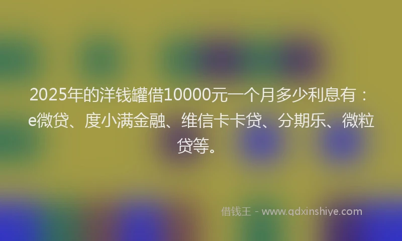 2025年的洋钱罐借10000元一个月多少利息有：e微贷、度小满金融、维信卡卡贷、分期乐、微粒贷等。