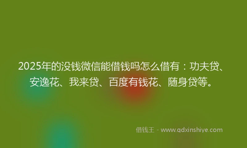2025年的没钱微信能借钱吗怎么借有：功夫贷、安逸花、我来贷、百度有钱花、随身贷等。