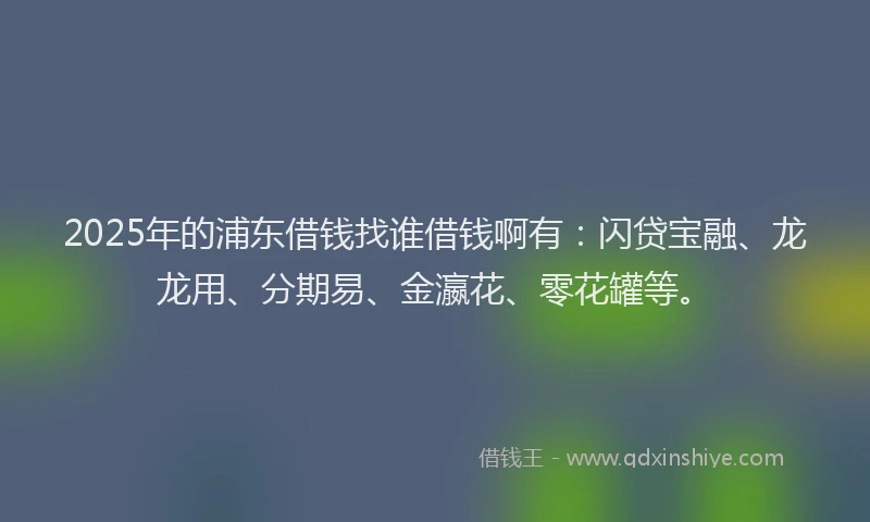 2025年的浦东借钱找谁借钱啊有：闪贷宝融、龙龙用、分期易、金瀛花、零花罐等。