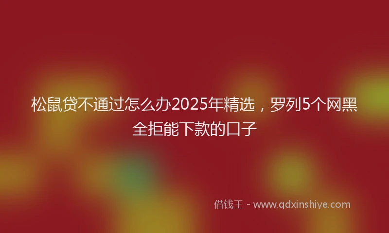 松鼠贷不通过怎么办2025年精选，罗列5个网黑全拒能下款的口子