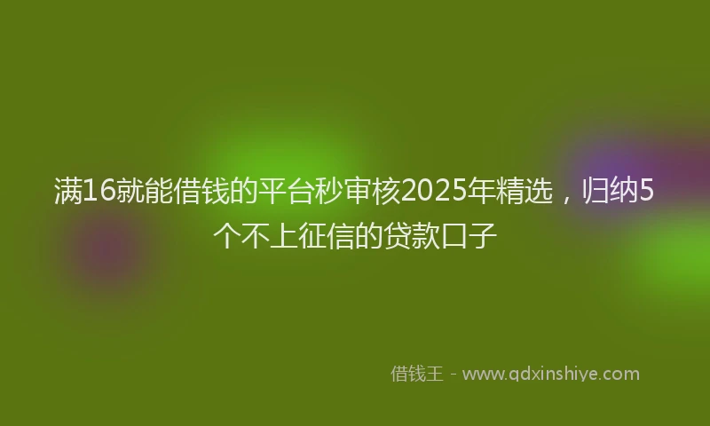 满16就能借钱的平台秒审核2025年精选，归纳5个不上征信的贷款口子