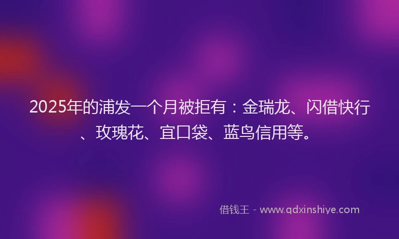 2025年的浦发一个月被拒有：金瑞龙、闪借快行、玫瑰花、宜口袋、蓝鸟信用等。