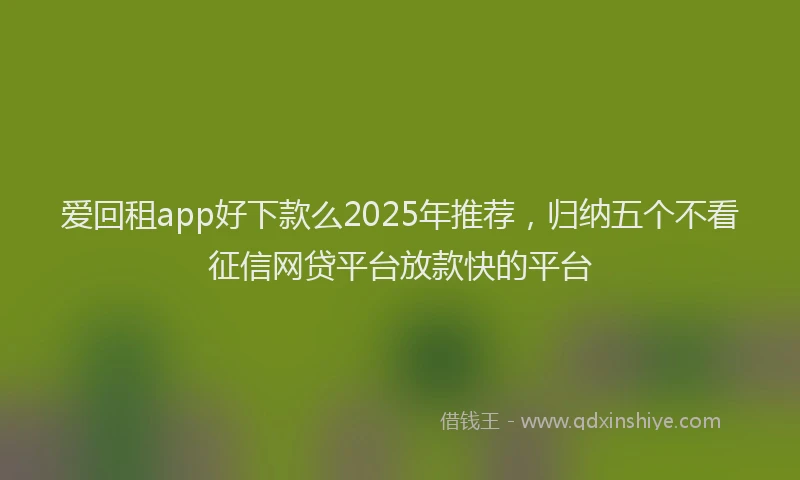 爱回租app好下款么2025年推荐，归纳五个不看征信网贷平台放款快的平台