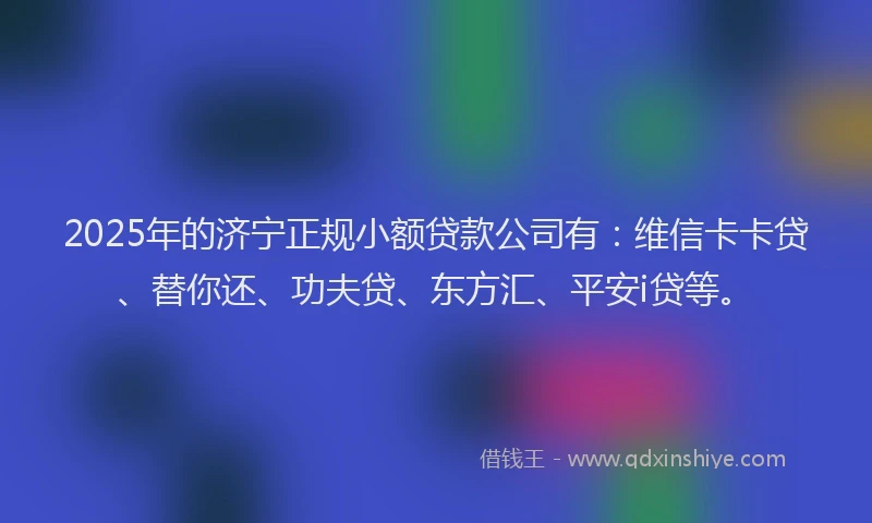 2025年的济宁正规小额贷款公司有：维信卡卡贷、替你还、功夫贷、东方汇、平安i贷等。