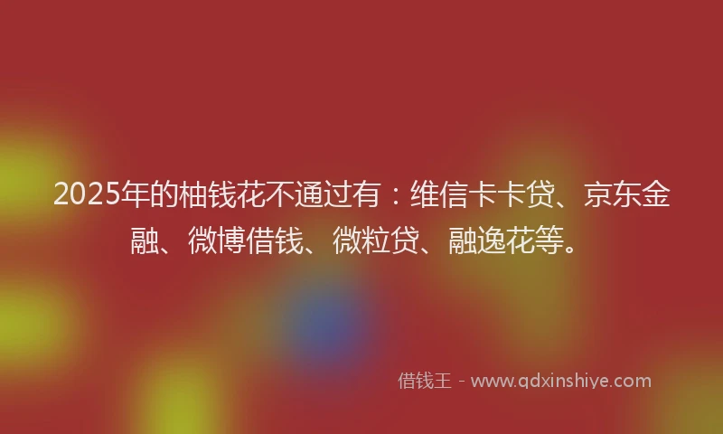 2025年的柚钱花不通过有：维信卡卡贷、京东金融、微博借钱、微粒贷、融逸花等。