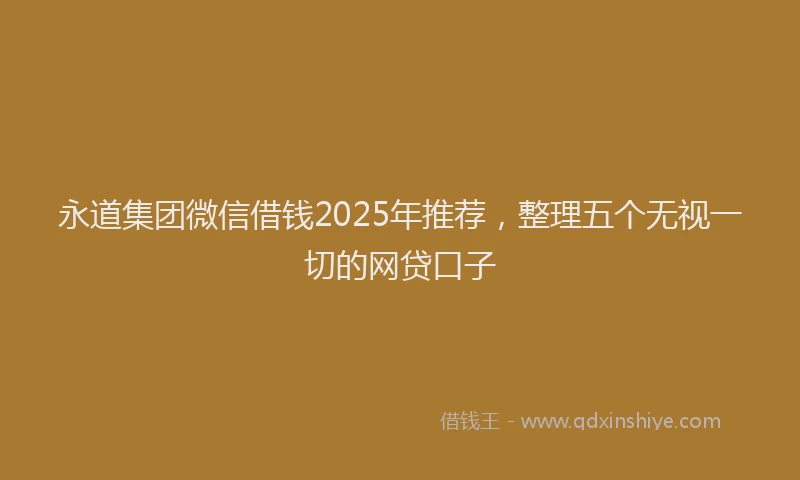 永道集团微信借钱2025年推荐，整理五个无视一切的网贷口子