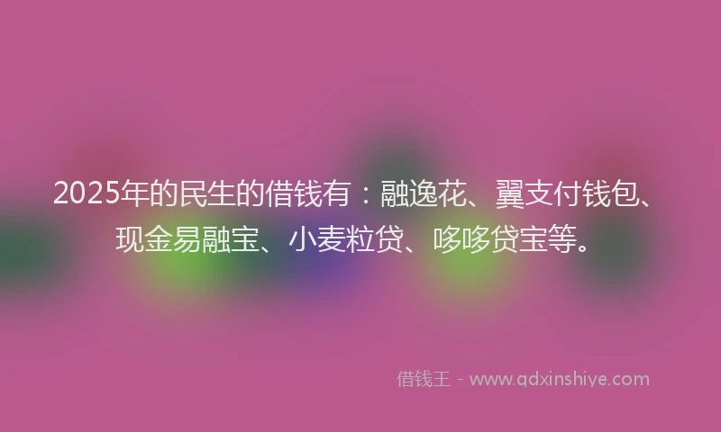 2025年的民生的借钱有：融逸花、翼支付钱包、现金易融宝、小麦粒贷、哆哆贷宝等。