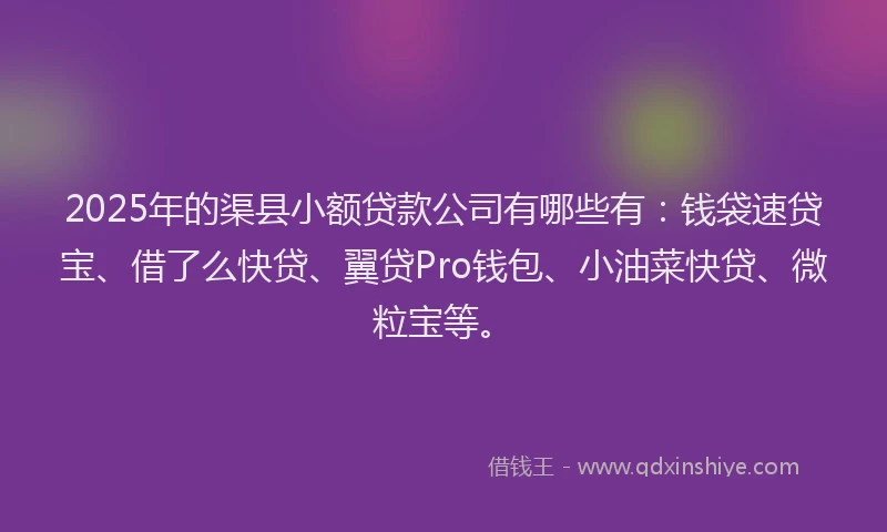 2025年的渠县小额贷款公司有哪些有：钱袋速贷宝、借了么快贷、翼贷Pro钱包、小油菜快贷、微粒宝等。
