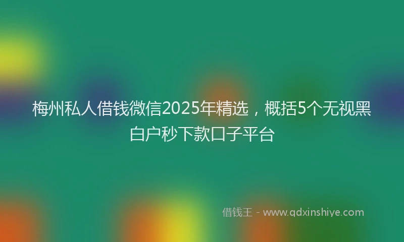 梅州私人借钱微信2025年精选，概括5个无视黑白户秒下款口子平台