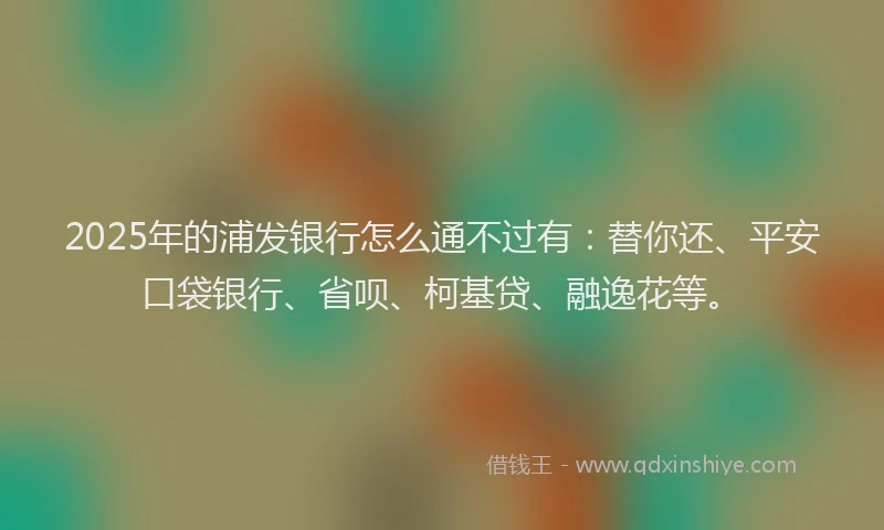 2025年的浦发银行怎么通不过有：替你还、平安口袋银行、省呗、柯基贷、融逸花等。