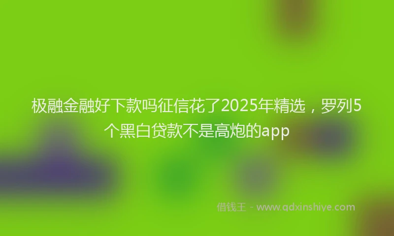 极融金融好下款吗征信花了2025年精选，罗列5个黑白贷款不是高炮的app