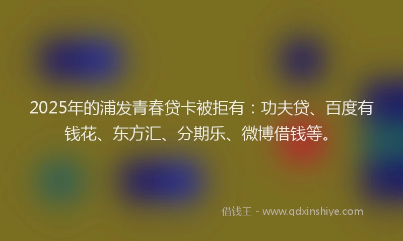 2025年的浦发青春贷卡被拒有：功夫贷、百度有钱花、东方汇、分期乐、微博借钱等。