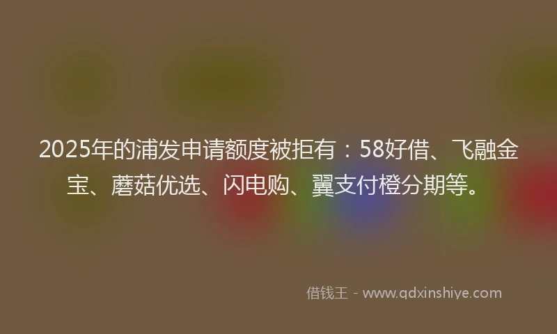 2025年的浦发申请额度被拒有：58好借、飞融金宝、蘑菇优选、闪电购、翼支付橙分期等。