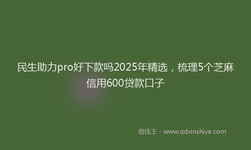 民生助力pro好下款吗2025年精选，梳理5个芝麻信用600贷款口子