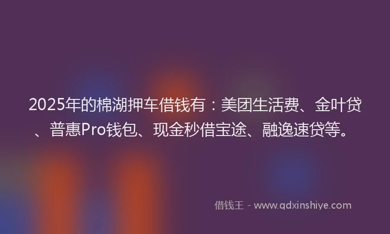 2025年的棉湖押车借钱有：美团生活费、金叶贷、普惠Pro钱包、现金秒借宝途、融逸速贷等。
