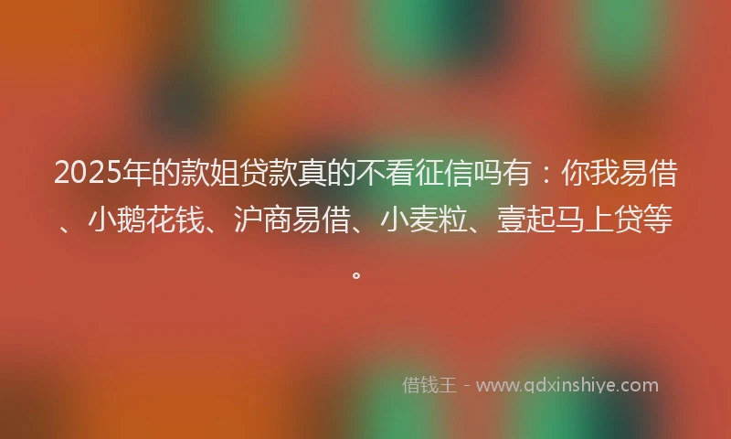 2025年的款姐贷款真的不看征信吗有：你我易借、小鹅花钱、沪商易借、小麦粒、壹起马上贷等。