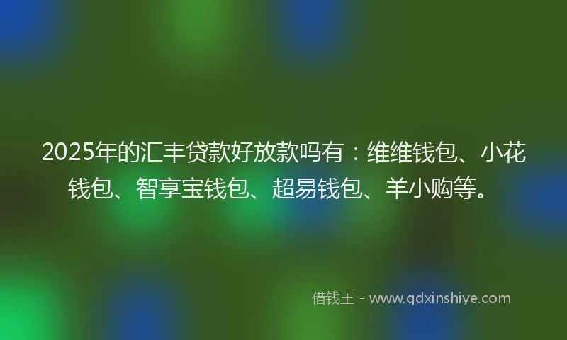 2025年的汇丰贷款好放款吗有：维维钱包、小花钱包、智享宝钱包、超易钱包、羊小购等。
