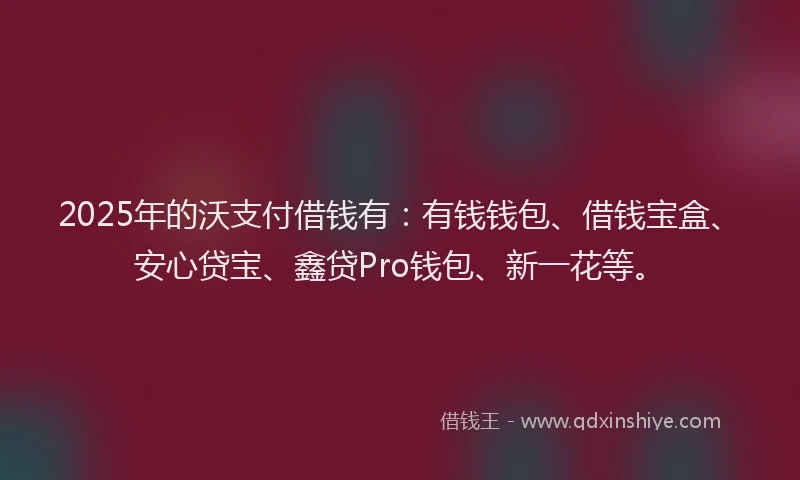 2025年的沃支付借钱有：有钱钱包、借钱宝盒、安心贷宝、鑫贷Pro钱包、新一花等。