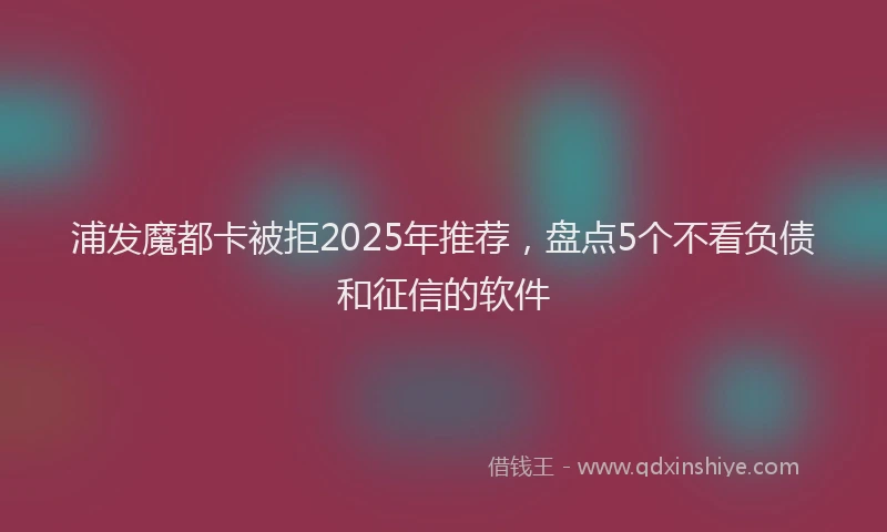 浦发魔都卡被拒2025年推荐，盘点5个不看负债和征信的软件