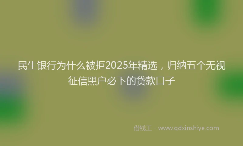 民生银行为什么被拒2025年精选，归纳五个无视征信黑户必下的贷款口子