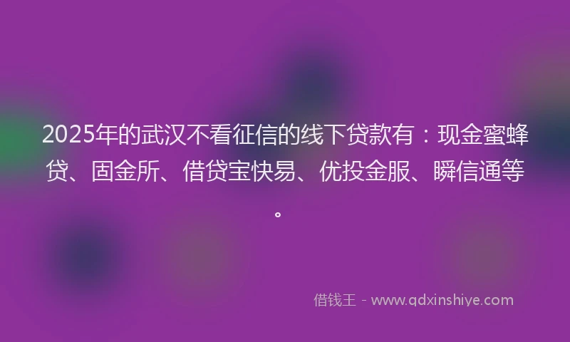 2025年的武汉不看征信的线下贷款有：现金蜜蜂贷、固金所、借贷宝快易、优投金服、瞬信通等。
