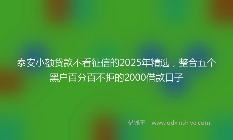 泰安小额贷款不看征信的2025年精选，整合五个黑户百分百不拒的2000借款口子