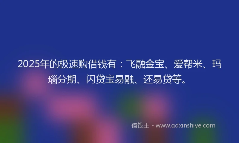 2025年的极速购借钱有：飞融金宝、爱帮米、玛瑙分期、闪贷宝易融、还易贷等。
