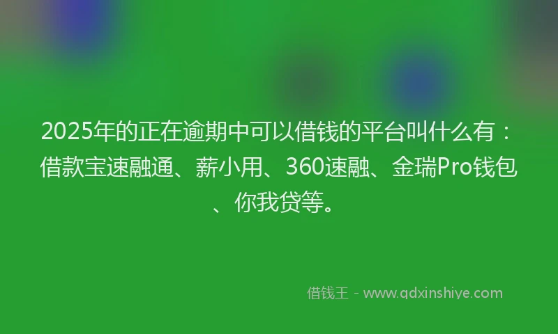 2025年的正在逾期中可以借钱的平台叫什么有：借款宝速融通、薪小用、360速融、金瑞Pro钱包、你我贷等。
