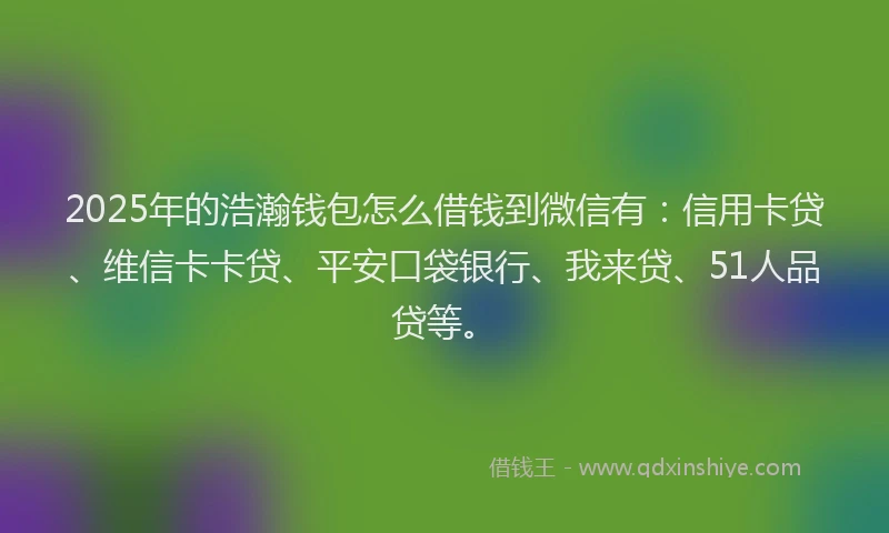 2025年的浩瀚钱包怎么借钱到微信有：信用卡贷、维信卡卡贷、平安口袋银行、我来贷、51人品贷等。