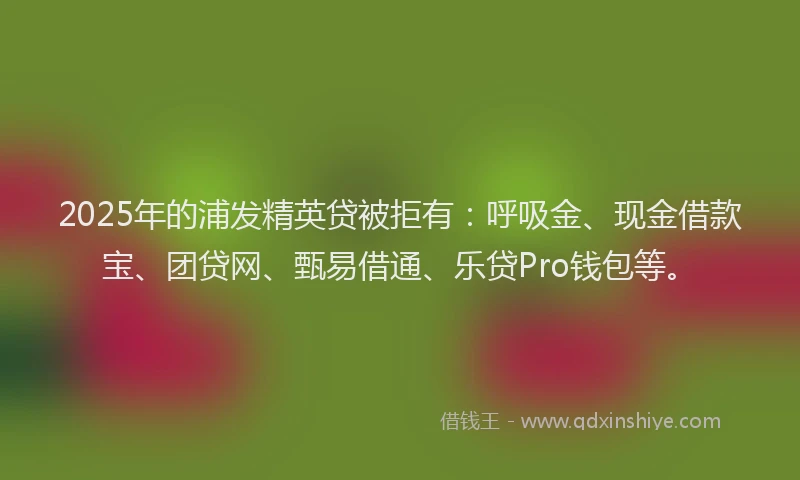 2025年的浦发精英贷被拒有：呼吸金、现金借款宝、团贷网、甄易借通、乐贷Pro钱包等。