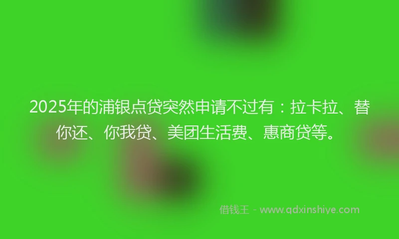 2025年的浦银点贷突然申请不过有：拉卡拉、替你还、你我贷、美团生活费、惠商贷等。