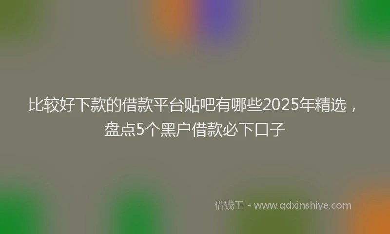 比较好下款的借款平台贴吧有哪些2025年精选，盘点5个黑户借款必下口子