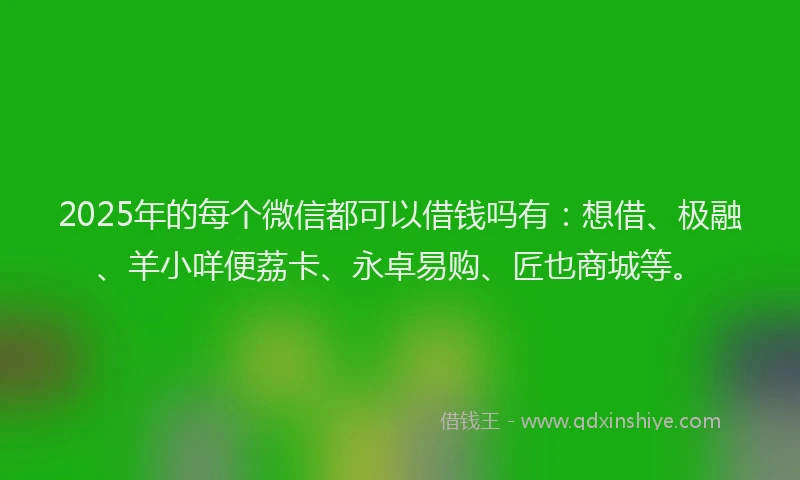 2025年的每个微信都可以借钱吗有：想借、极融、羊小咩便荔卡、永卓易购、匠也商城等。