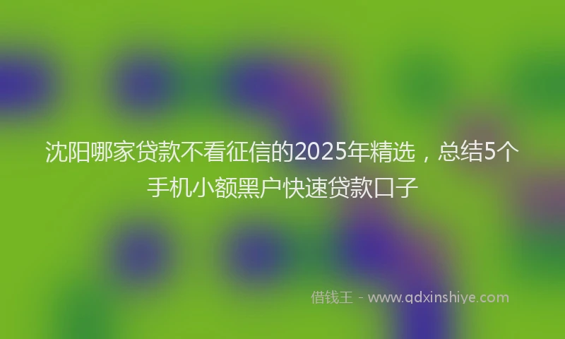 沈阳哪家贷款不看征信的2025年精选，总结5个手机小额黑户快速贷款口子