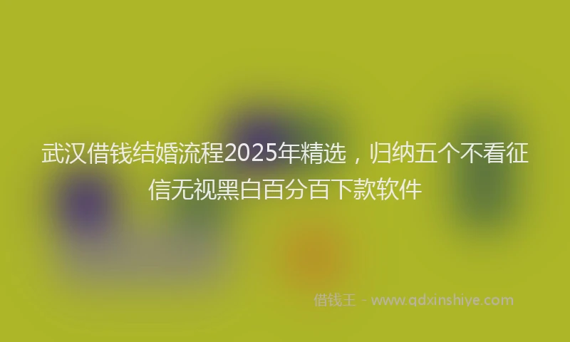 武汉借钱结婚流程2025年精选，归纳五个不看征信无视黑白百分百下款软件