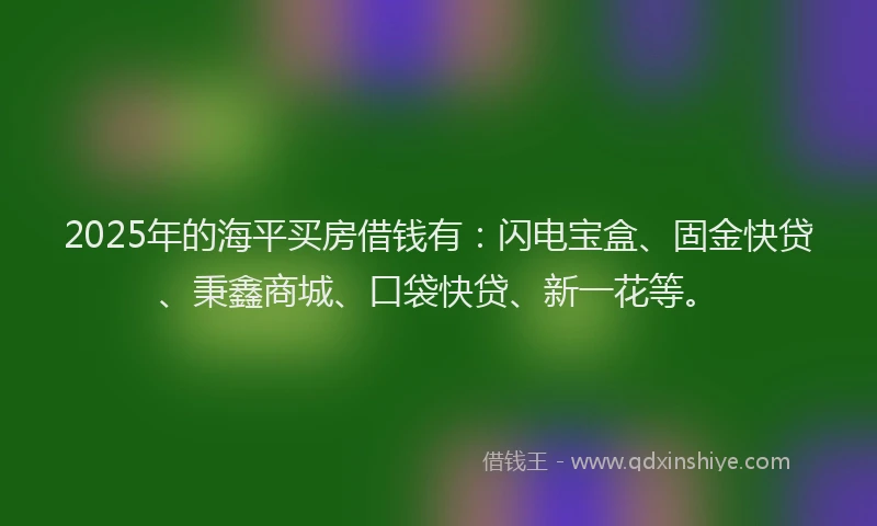 2025年的海平买房借钱有：闪电宝盒、固金快贷、秉鑫商城、口袋快贷、新一花等。
